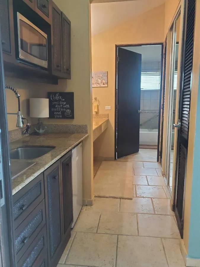 Apartment Elimar Bay View Apt With Infinity Pool Available Isla Culebra
