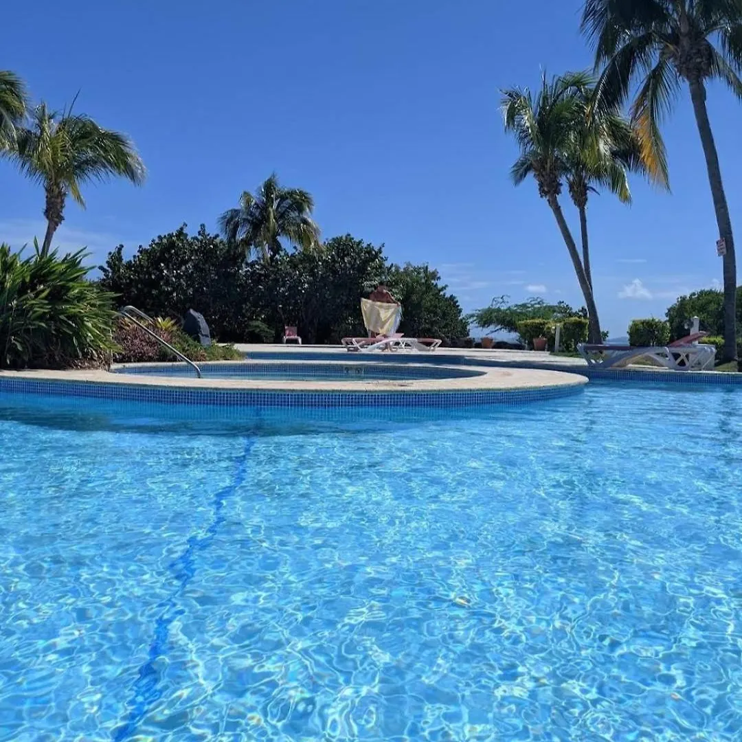 Elimar Bay View Apt With Infinity Pool Available Isla Culebra Apartment
